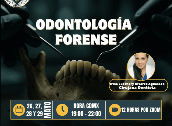 Captura de pantalla 2025-05-23 a las 9.36.01 p. m.